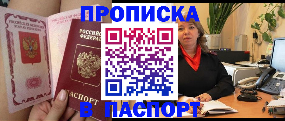 прописка поиск в Коле